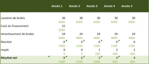 Compte-de-r%C3%A9sultat-Brebis-Milgoulle